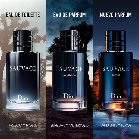 perfume sabash dior|Dior sauvage perfume sephora.